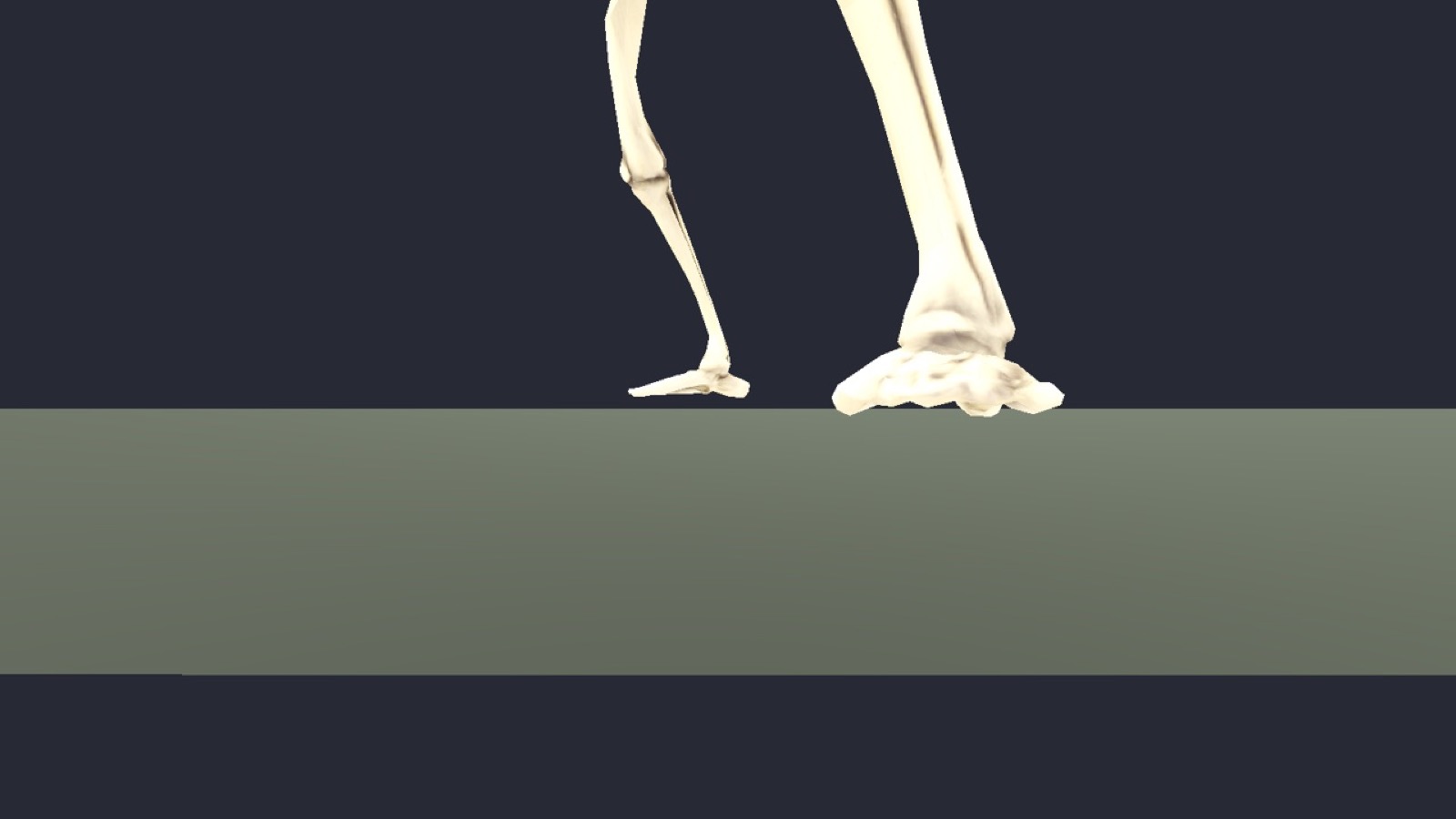 Bone Saint