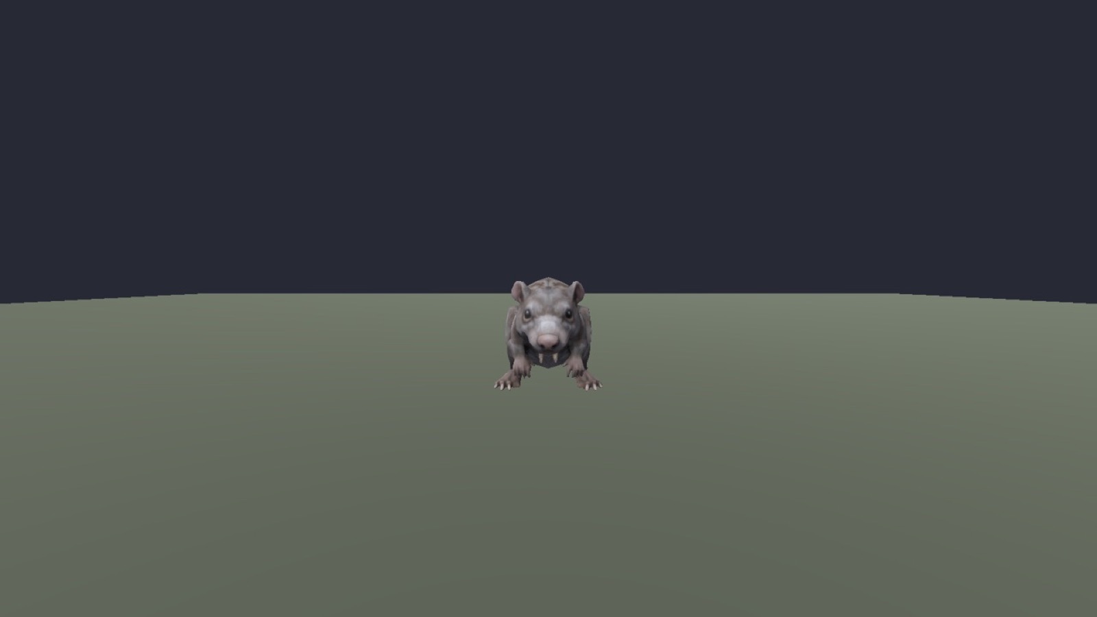 Silver Rat